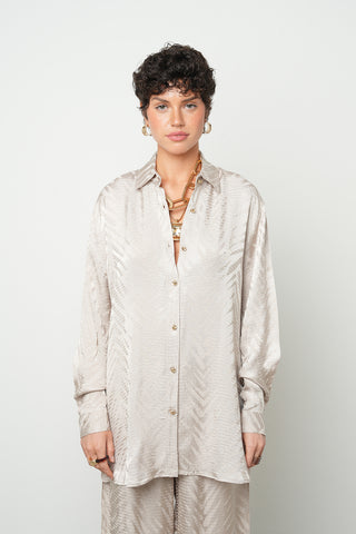 Kadın Rayon & Viskon Karışımlı İpeksi Dokulu Standart Beden Gömlek